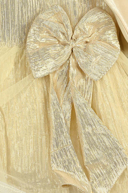 Infant Girls Organza Fancy Frock Glittery-BEIGE
