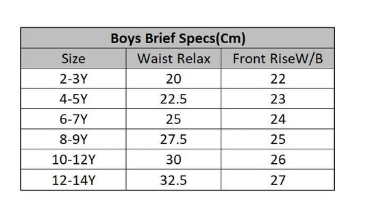 Boys Cotton Jersey Briefs – Pack of 2 (Black/Blue)