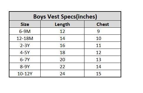 Boys Cotton Jersey Vest-Pack of 2-White