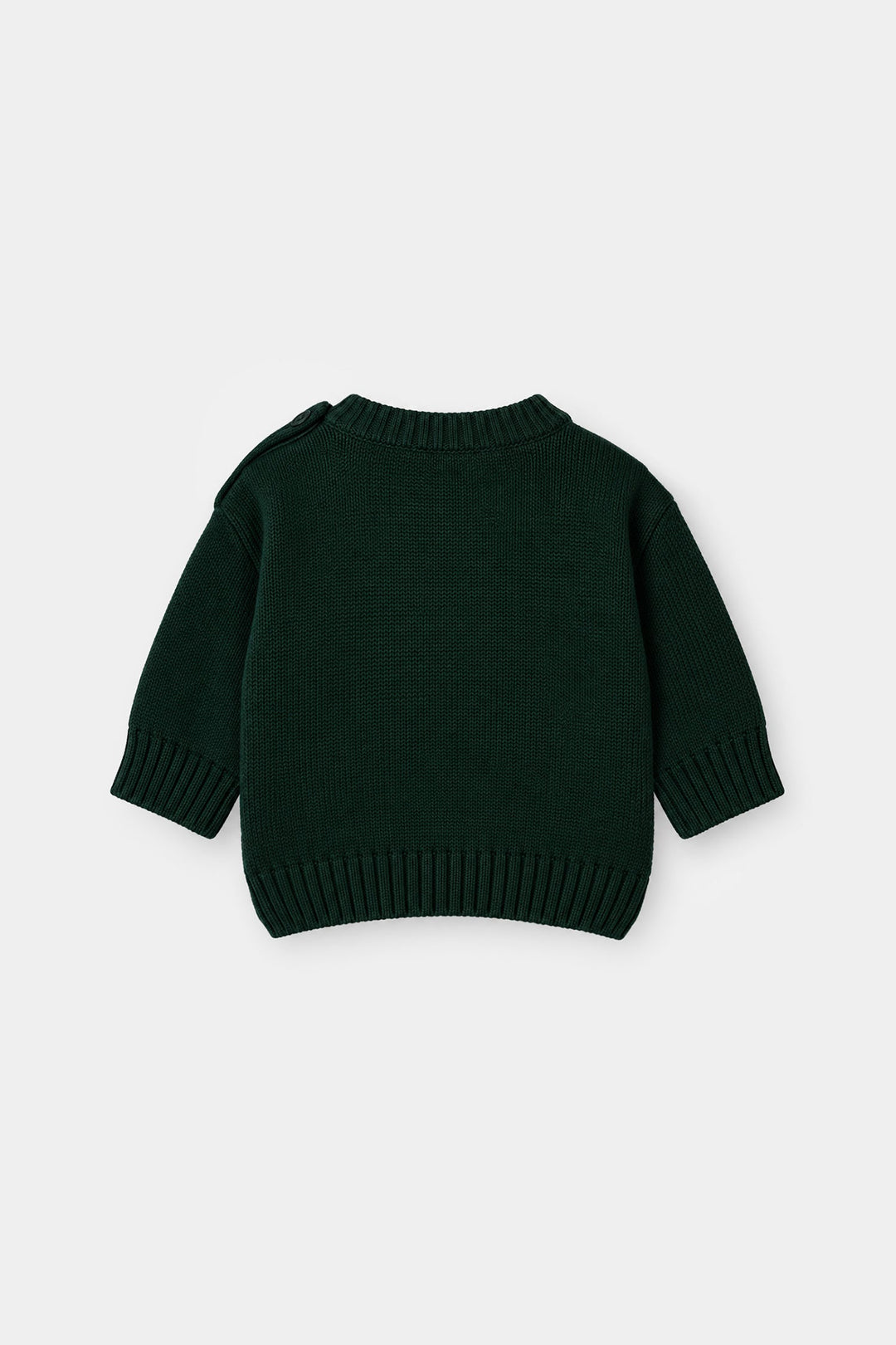Infant Boys Cotton Sweater Mr Forest - Dark Green