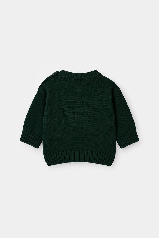 Infant Boys Cotton Sweater Mr Forest - Dark Green