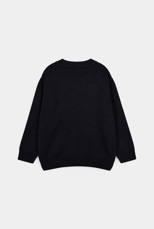 Boys Acrylic Sweater-Skater-NAVY