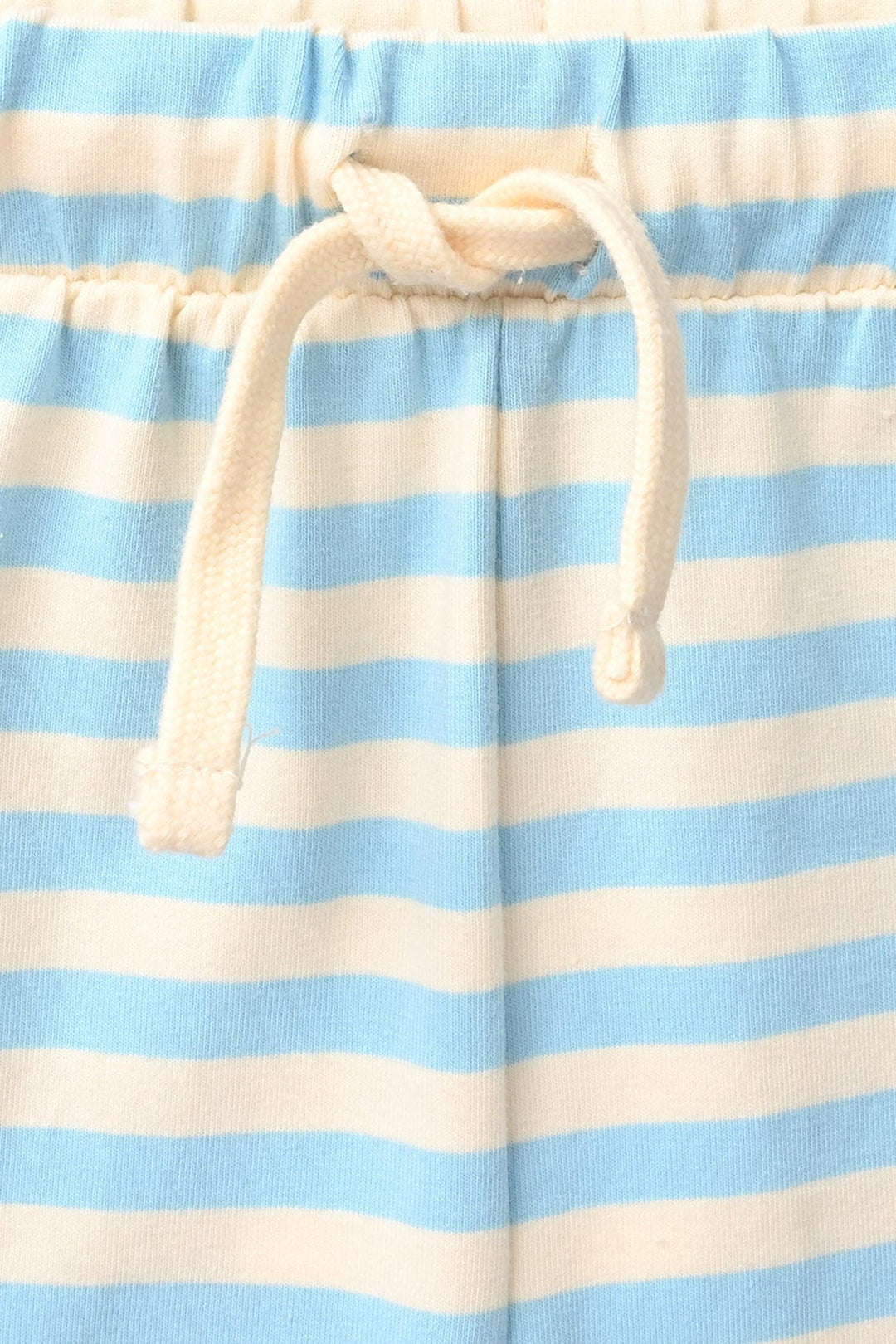 Infant Boys Jersey Terry Shorts - Blue
