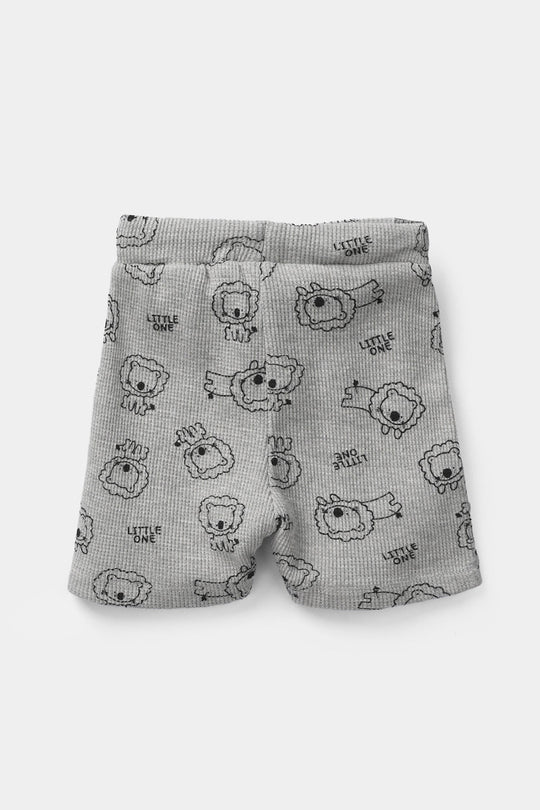 Infant Boys Thermal Shorts (Lion) - Grey