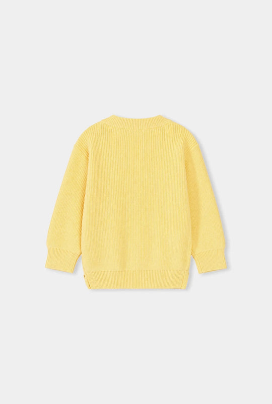 Infant Girls Acrylic Sweater-Sunshine Bloom-Yellow