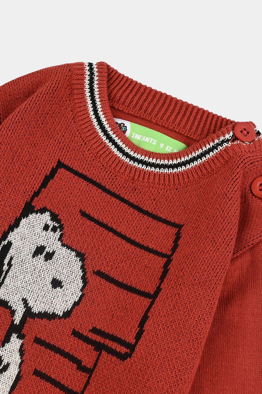 Infant Boys Cotton Acrylic Sweater-Rust