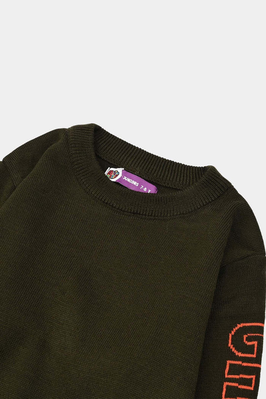 Boys Acrylic Sweater-Champion-GREEN
