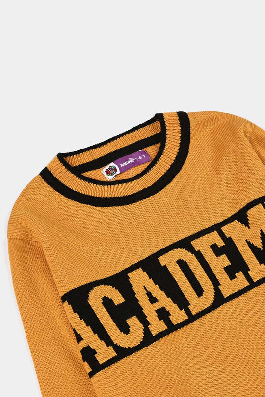 Boys Acrylic Sweater-Academy-Citrus