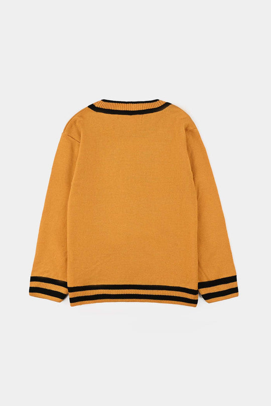 Boys Acrylic Sweater-Academy-Citrus