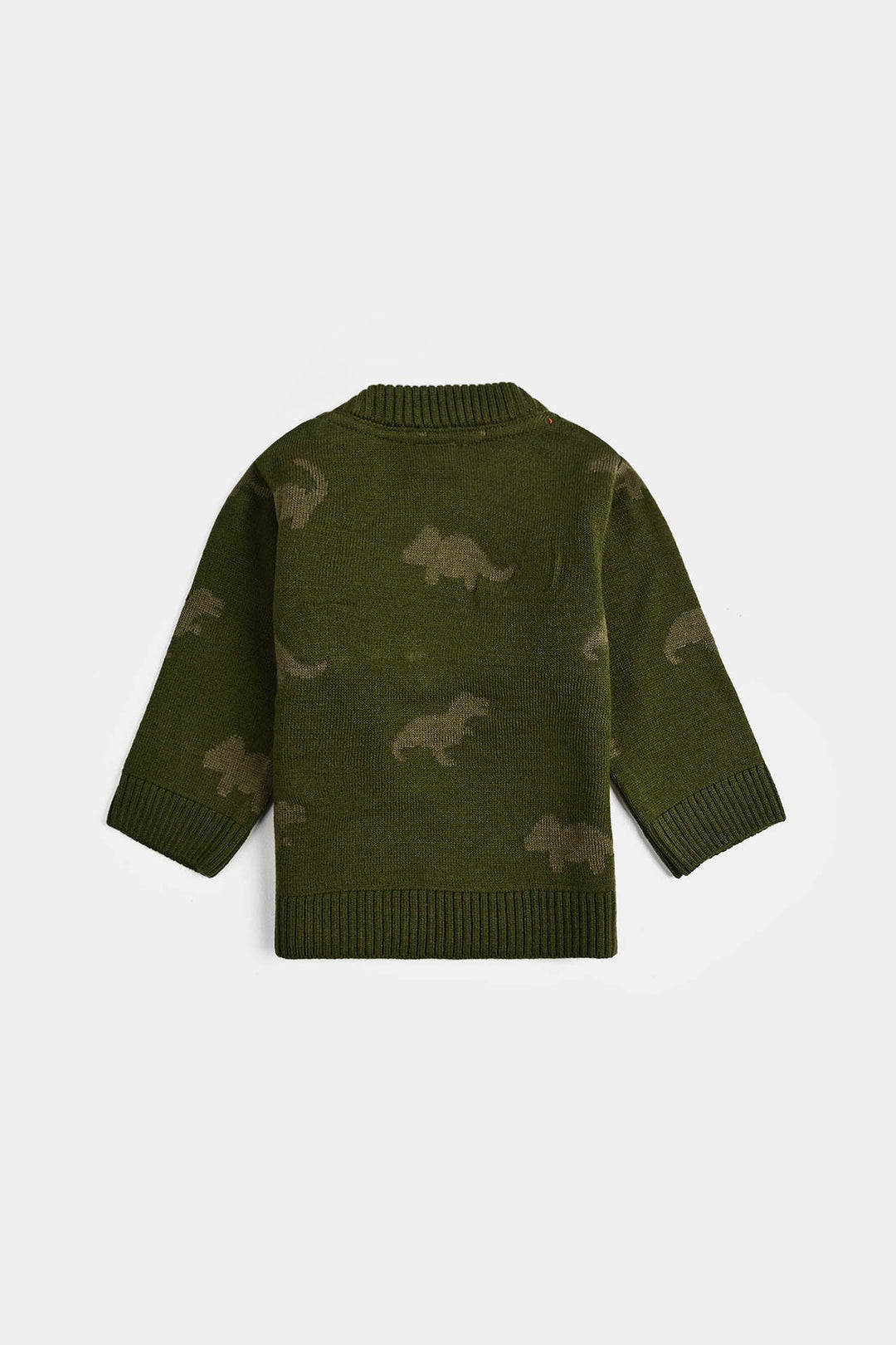 Infant Boys Acrylic Sweater-Roar - Green