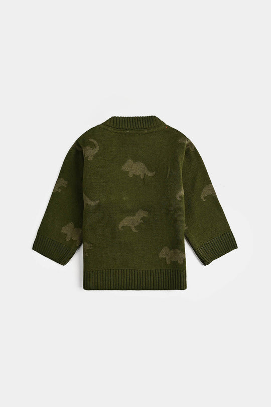 Infant Boys Acrylic Sweater-Roar - Green