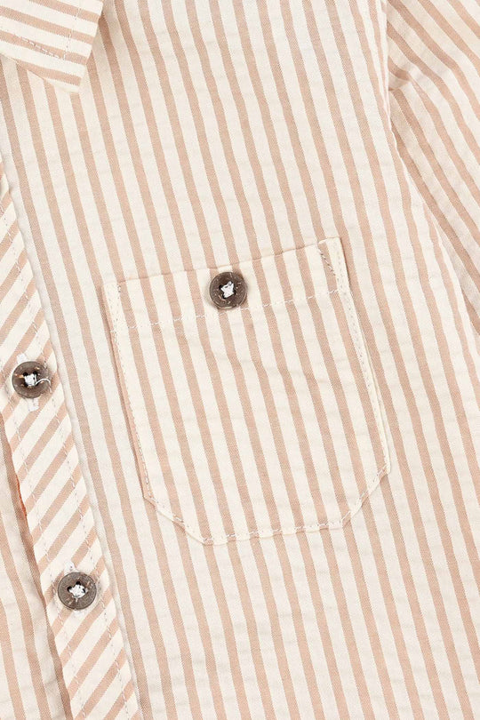 Boys Yarn Dyed Shirt F/S (Brown Drift) - Brown Stripe