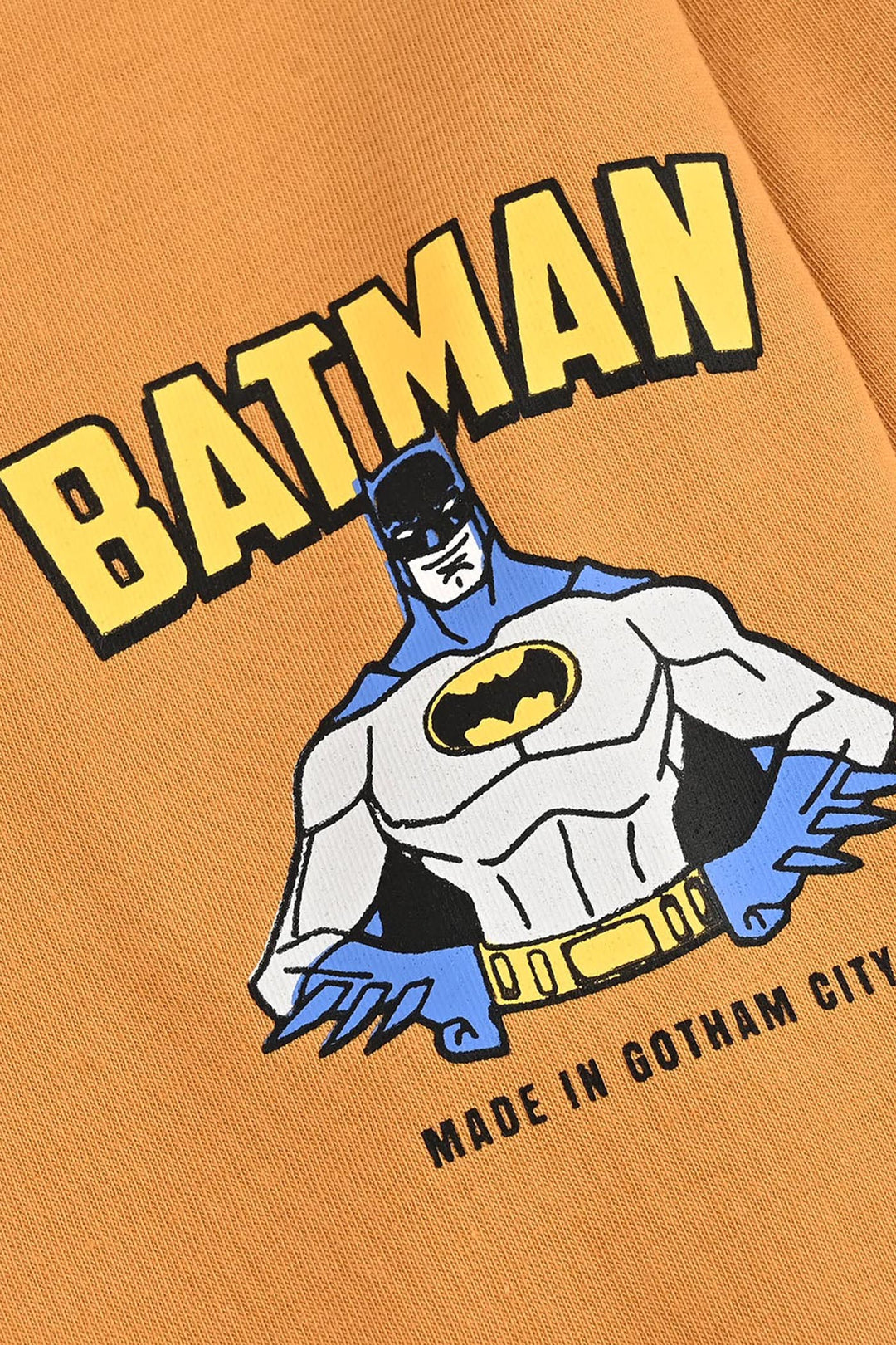 Boys Cotton Jersey T-Shirt F/S Character- Sun Flower