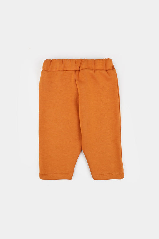 Infant Boys Cotton Interlock Suit Little champ-BROWN