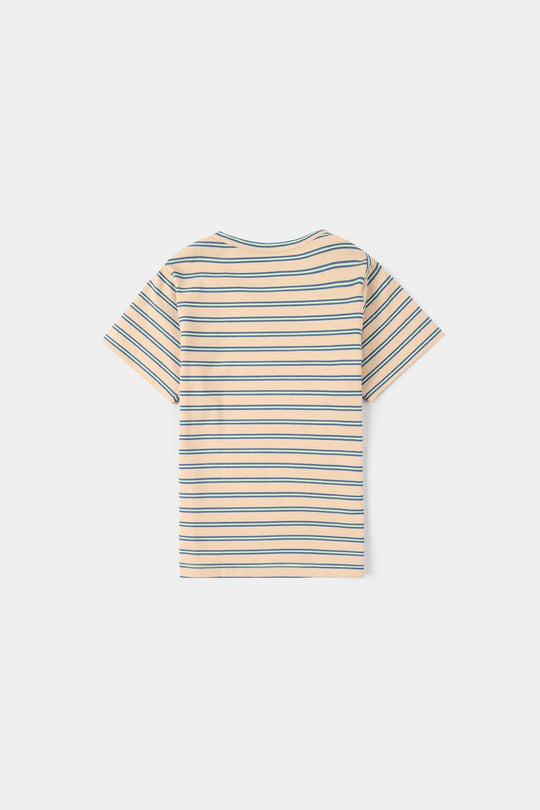 Infant Boys Yarn Dyed Round Neck T-Shirt - Brown