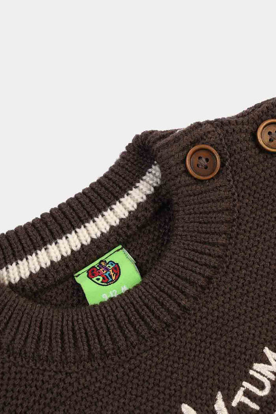 Infant Boys Sweater-Tum Tum - BROWN