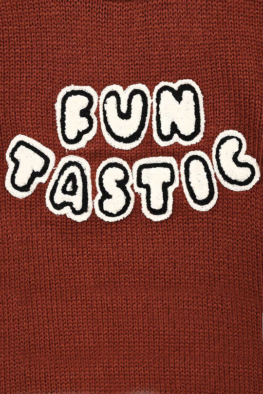Infant Boys Acrylic Sweater - Funtastic - Reddish - Brown