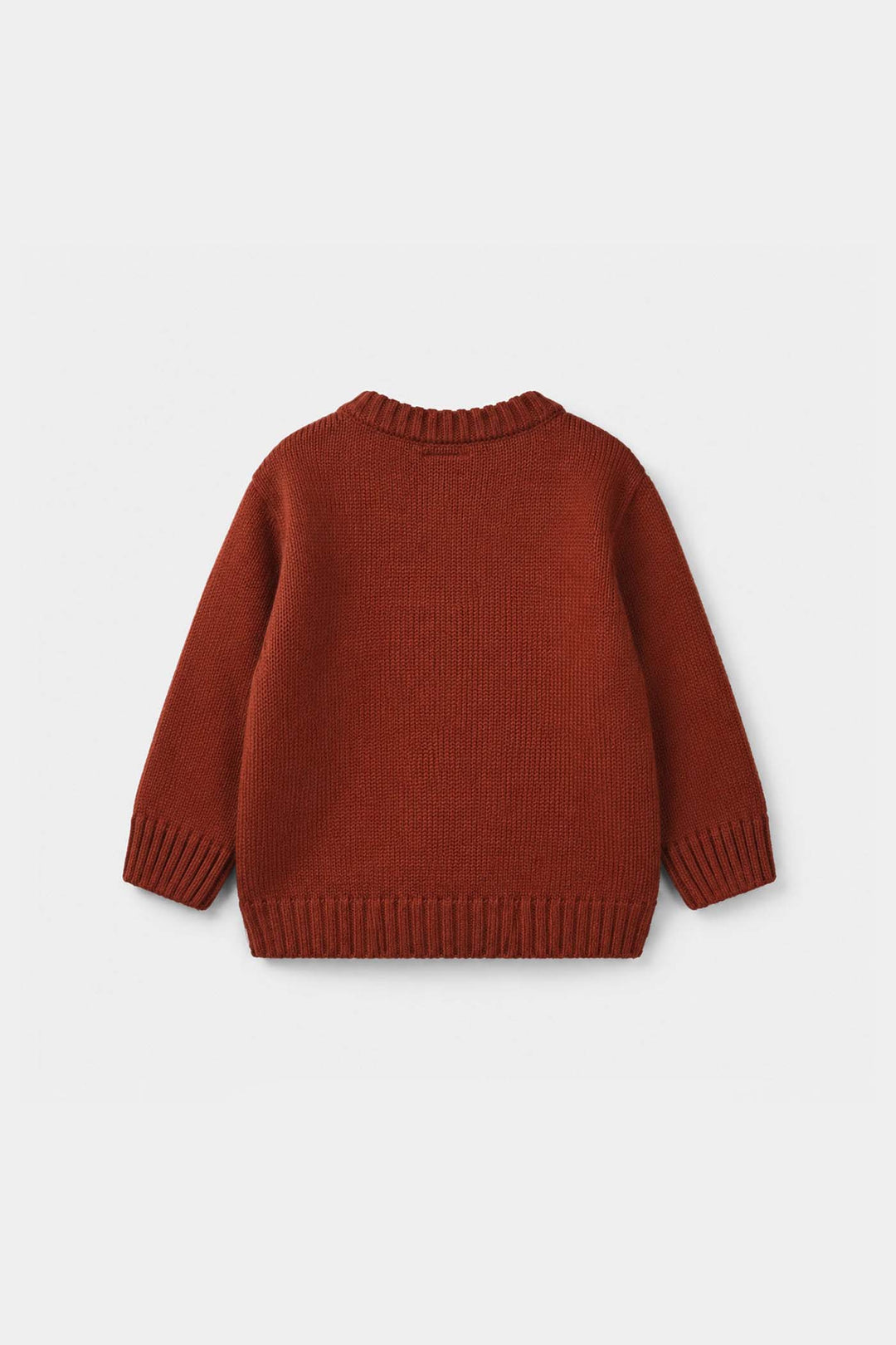 Infant Boys Acrylic Sweater - Funtastic - Reddish - Brown