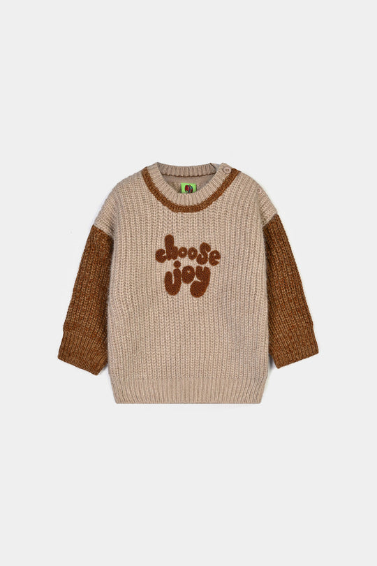 Infant Boys Feather-Acrylic Sweater-Choose Joy-Multi