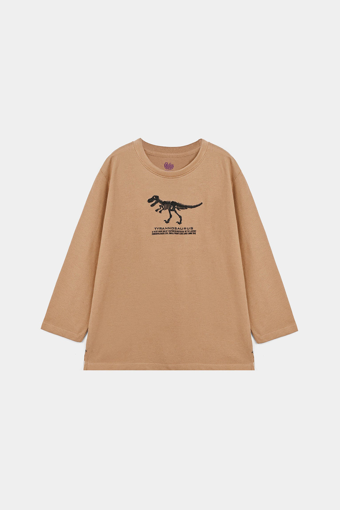 Boys Cotton PK T-Shirt Tyrannosaurus - Brown