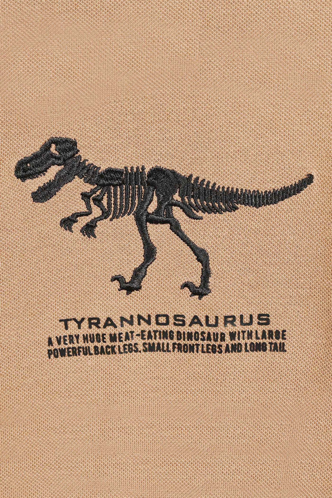 Boys Cotton PK T-Shirt Tyrannosaurus - Brown