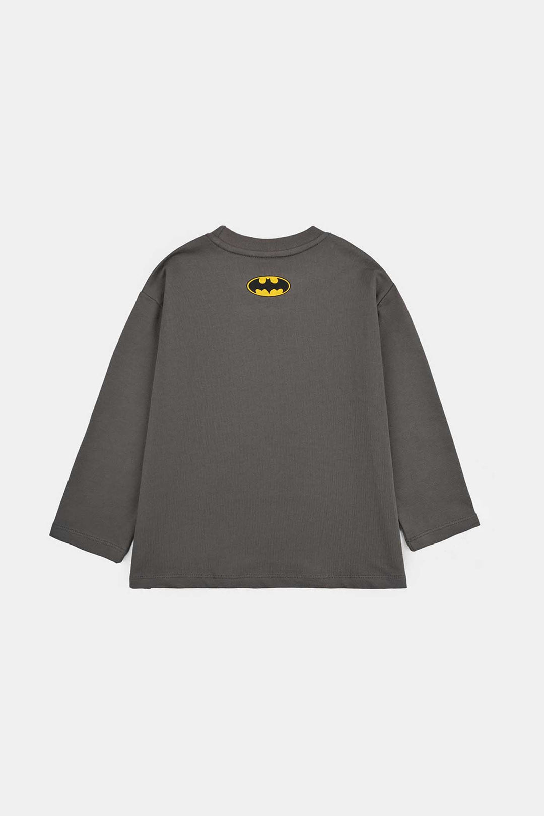 Boys Cotton Terry T-Shirt Full Sleeves Character - Castlerock