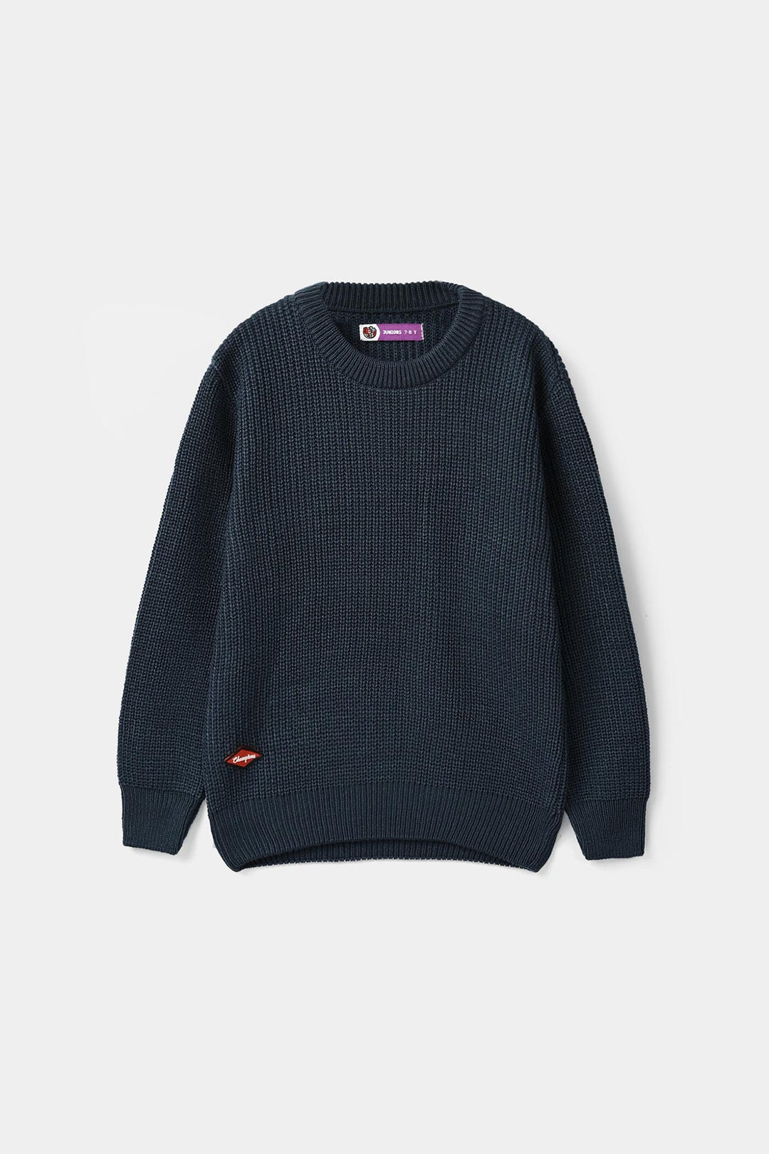 Boys Acrylic Sweater-Champion - Blue