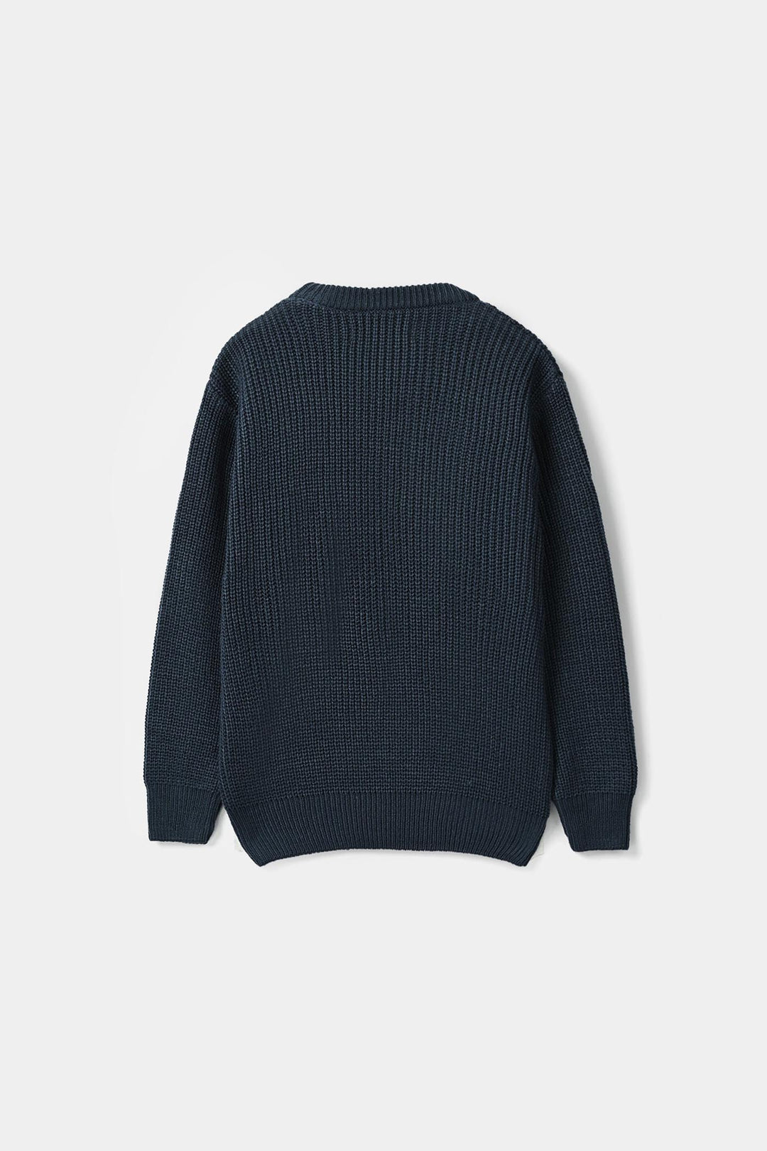 Boys Acrylic Sweater-Champion - Blue
