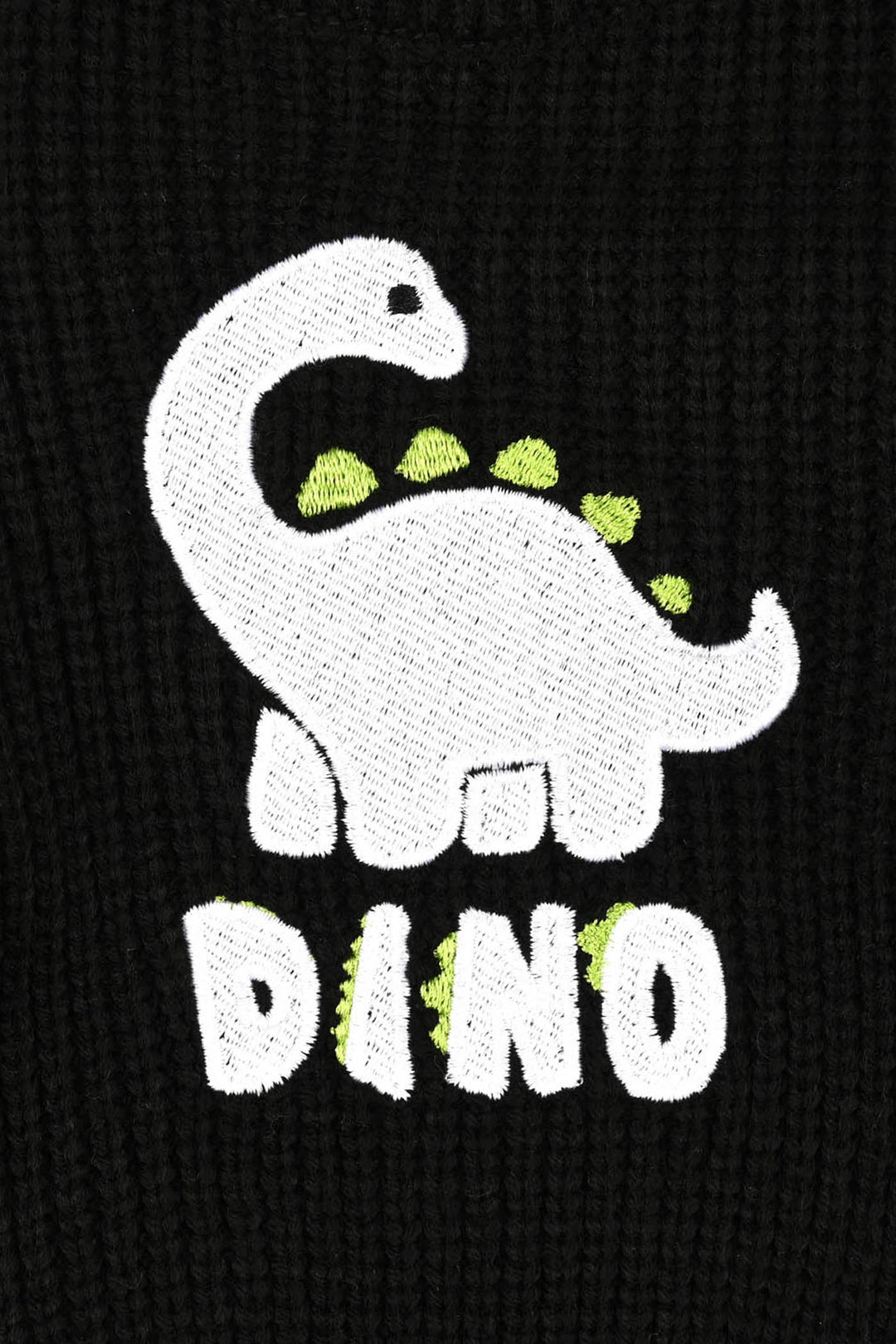Infant Boys Acrylic Sweater-Dino Munch - BLACK