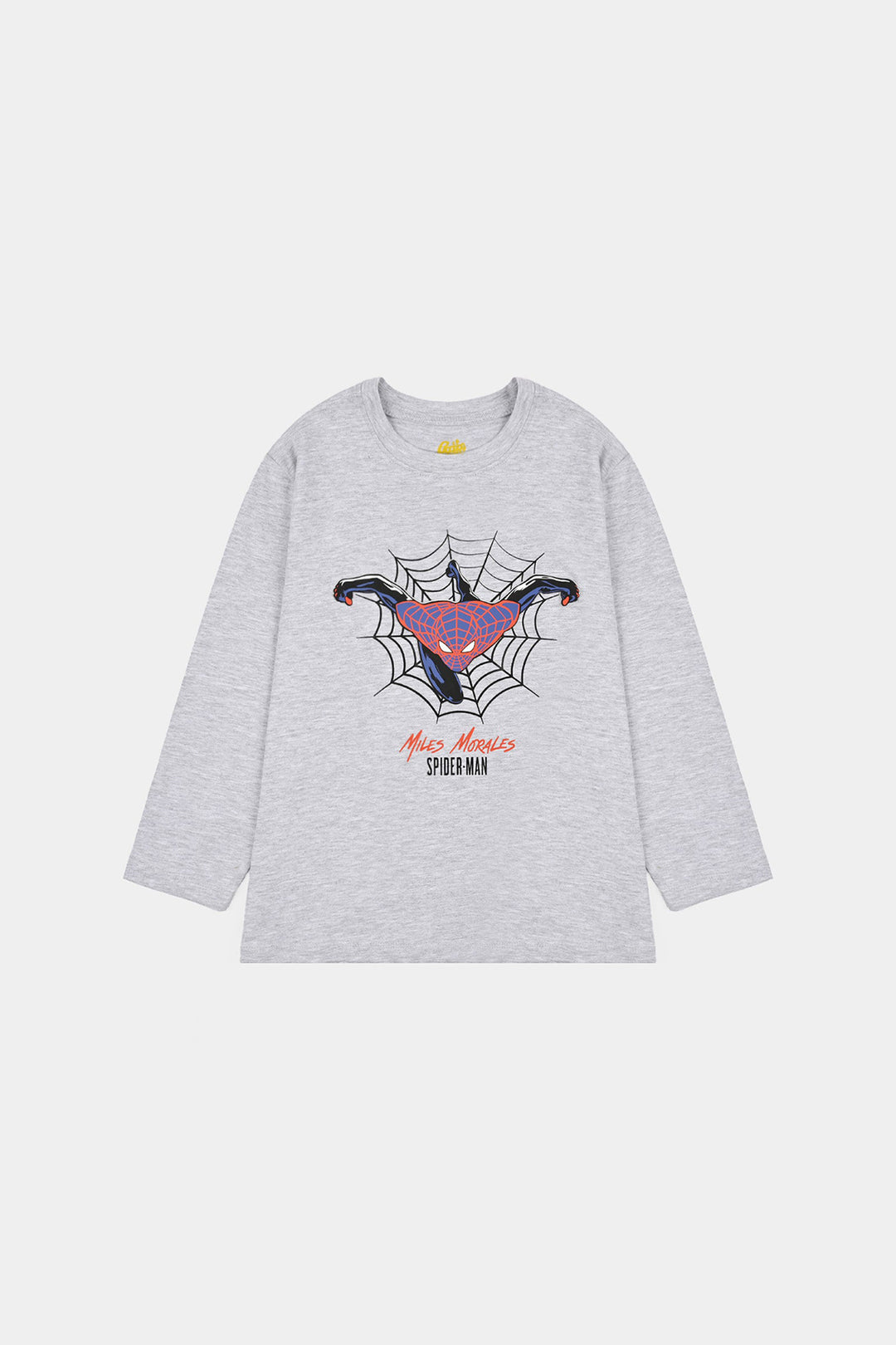 Boys Lycra Jersey T-Shirt Character-GREY