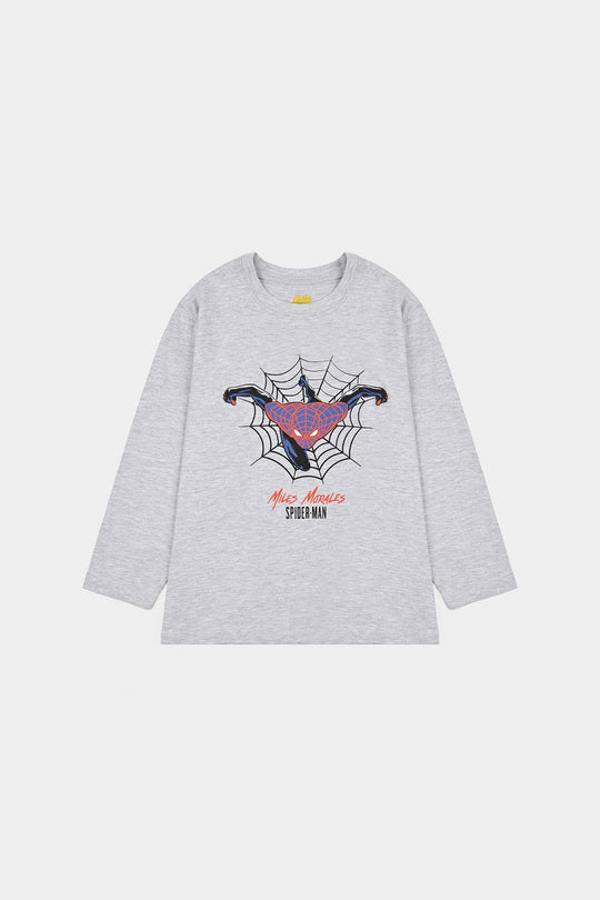 Boys Lycra Jersey T-Shirt Character-GREY