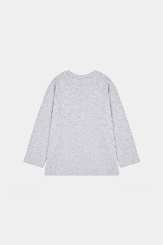 Boys Lycra Jersey T-Shirt Character-GREY