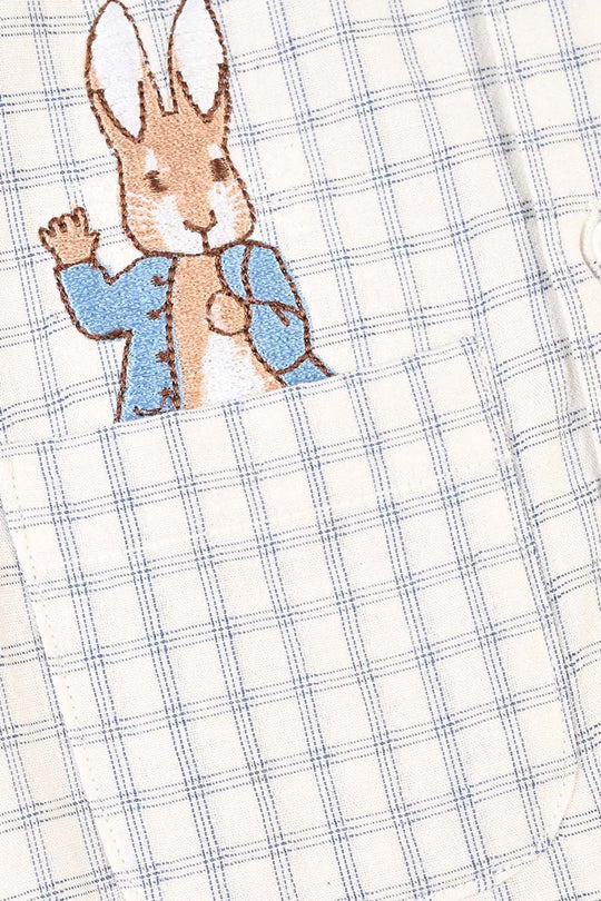 Infant Boys Yarn Dyed Woven Romper-Blue Checkered - White/Blue